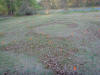 Beth's Labyrinth