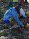 CCES
