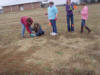 GCO Turtle Labyrinth