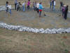 GCO Turtle Labyrinth