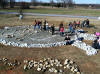 GC) Turtle labyrinth